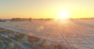 Arktik çayırlı soğuk kış manzarası, karla kaplı ağaçlar ve ufukta sabah güneşleri. Aşırı hava.