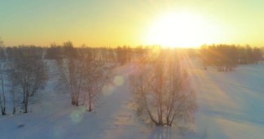 Arktik çayırlı soğuk kış manzarası, karla kaplı ağaçlar ve ufukta sabah güneşleri. Aşırı hava.