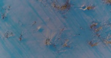 Arktik çayırlı soğuk kış manzarası, karla kaplı ağaçlar ve ufukta sabah güneşleri. Aşırı hava.