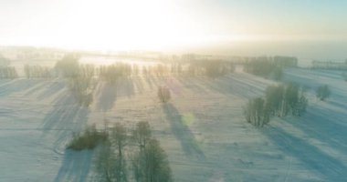 Arktik çayırlı soğuk kış manzarası, karla kaplı ağaçlar ve ufukta sabah güneşleri. Aşırı hava.