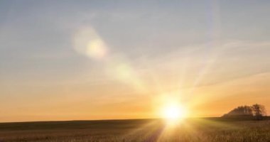 Sonbahar günbatımında 4K düz çayır zamanı. Vahşi doğa ve kırsal çimler. Güneş ışınları ve sarı çimenler. Motorlu doli kaydırma ve panorama hareketi