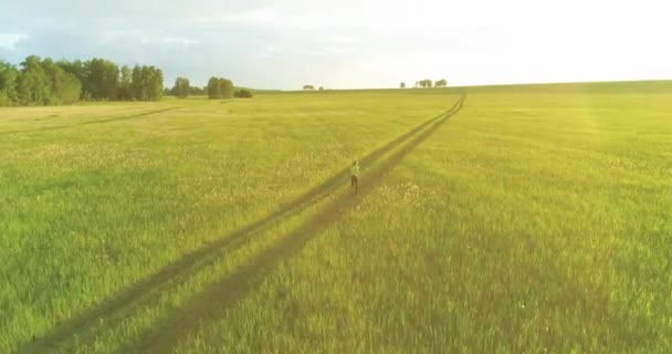 Toma Aérea Niño Deportivo Corre Través Campo Trigo Ejercicios Nocturnos — Vídeo de stock