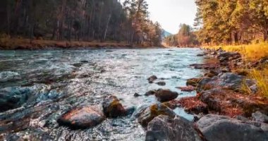 4K dağ nehri zaman dilimi yaz ya da sonbahar zamanı. Vahşi doğa, berrak su ve her zaman yeşil olan kırsal vadi. Güneş ışınları, küçük dere ve sarı otlar. Motorlu doli kaydırma hareketi