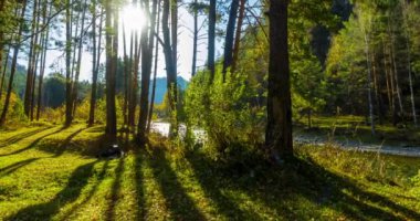 4k dağı, çam ağacı ormanı yaz ya da sonbahar zamanında zaman kavramına dönüşür. Vahşi doğa, berrak su ve kırsal vadi. Güneş ışınları, küçük dere, nehir ve sarı otlar. Motorlu doli kaydırma hareketi