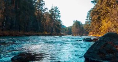 4K UHD dağ nehri zaman dilimi yaz ya da sonbahar saatlerinde. Vahşi doğa, berrak su ve her zaman yeşil olan kırsal vadi. Güneş ışınları, küçük dere ve sarı otlar. Motorlu doli kaydırma hareketi