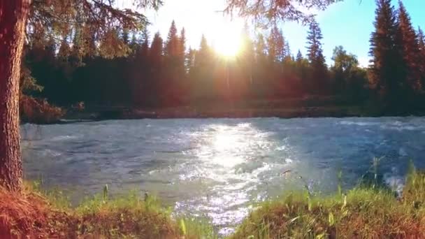 Uhd Prairie Rurale Paysage Rive Rivière Montagne Avec Herbe Verte — Video