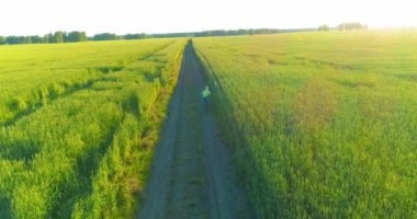 Kırsal yoldaki bir çim tarlasında bisiklet süren genç bir çocuğun hava manzarası. Sıcak güneş ışığı ve ışınlar ile yaz zamanı çayırı. Sağlıklı çocukluk kavramı.