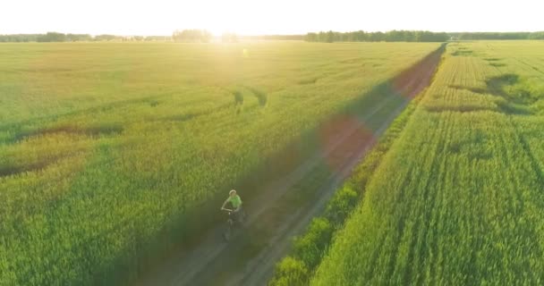 Vista Aérea Sobre Niño Que Monta Bicicleta Través Campo Hierba — Vídeo de stock