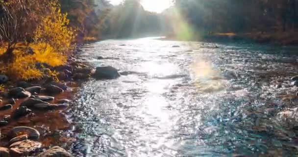 Uhd Górskiej Rzeki Timelapse Okresie Letnim Lub Jesiennym Dzika Przyroda — Wideo stockowe