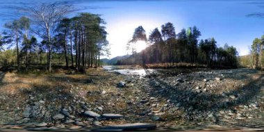 4K 360 VR güzel bir dağ sahnesinin sonbahar ya da yaz başında sanal gerçekliği. Vahşi dağlar, çam ormanı ve nehir akıntıları. Ulusal park, çayır ve güneş ışınları.