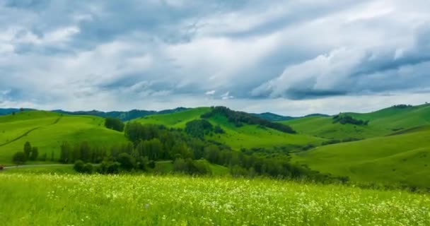 Pajiștea Montană Scurge Timpul Verii Sau Toamnei Natură Sălbatică Câmp — Videoclip de stoc