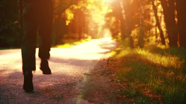 Fhd运动员在室外新的沥青路面上跑步 乡村城市公园的日出或日落 绿树森林和地平线上的阳光 — 图库视频影像