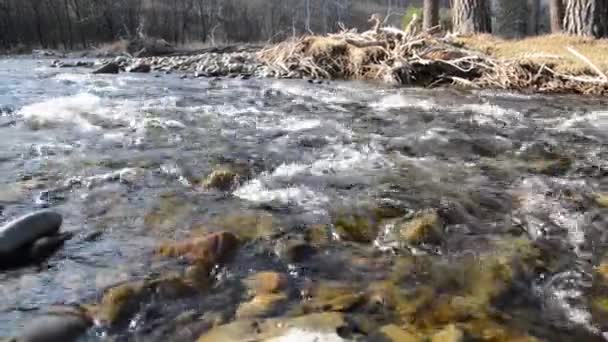 Motorized Dolly Slider Shot Splashing Water Small Mountain River Forest — Vídeo de Stock