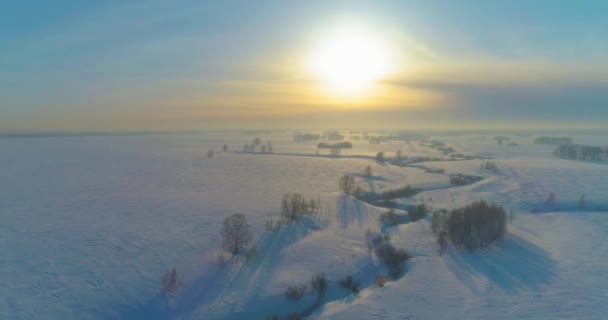 Vista Aérea Drones Del Frío Paisaje Invernal Del Campo Ártico — Vídeos de Stock