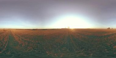 360 hava manzaralı. Güneşli bir sonbahar akşamında sonsuz yeşil tarlaları olan yaz manzarasının üzerinde alçak uçuş. Ufuktaki güneş ışınları. Hızlı yatay hareket. Tarım arazisi insansız hava aracı atışı. Dengeli