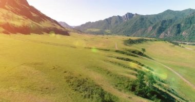 Hava UHD 4K: güneşli yaz sabahında kırsal dağ yolu ve çayır üzerinde havadan uçuş. Ufukta yeşil ağaçlar ve güneş ışınları var. Özgür kırsal asfalt karayolu ve nehir.
