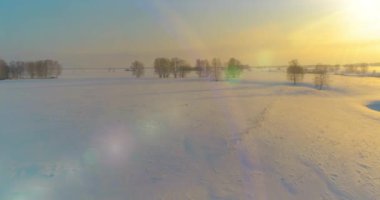 Soğuk kış kutup bölgesinin insansız hava görüntüsü, ufukta karla kaplı ağaçlar, buz nehri ve güneş ışınları. Aşırı düşük sıcaklık havası. Sibirya