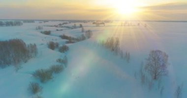 Soğuk kış kutup bölgesinin insansız hava görüntüsü, ufukta karla kaplı ağaçlar, buz nehri ve güneş ışınları. Aşırı düşük sıcaklık havası. Sibirya