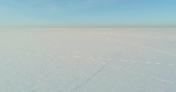 Безпілотний Повітряний Вид Холодне Зимове Ландшафтне Арктичне Поле Дерева Покриті — стокове відео