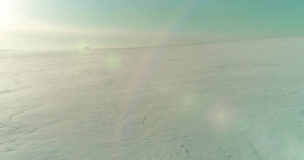 Drone Vista Aerea Del Freddo Paesaggio Invernale Campo Artico Alberi — Video Stock