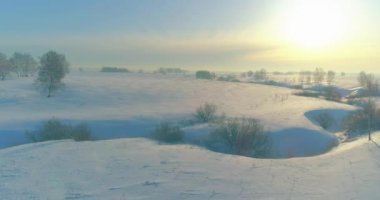 Soğuk kış kutup bölgesinin insansız hava görüntüsü, ufukta karla kaplı ağaçlar, buz nehri ve güneş ışınları. Aşırı düşük sıcaklık havası.
