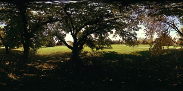 Uhd 360 Virtual Reality Eines Erholungsgebietes Stadtpark Bäume Und Grünes — Stockvideo