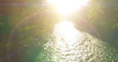 4K hava bakış açısı. Güneşli yaz sabahında, taze, hızlı dağ nehri üzerinde kayalıklarla alçak irtifa uçuşu. Yeşil çam ağaçları ve güneş ışınları. Saf soğuk su akıntısı.