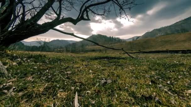 Uhd 감소로 나무와 구름과 광선이 지대의 노란색 온난화 그리고 생태학적 — 비디오