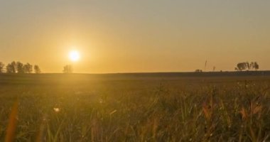 4K UHD düz tepe çayır zamanı yaz veya sonbahar günbatımında. Vahşi doğa ve kırsal çimler. Güneş ışınları ve yeşil ağaçlar. Motorlu doli kaydırıcı