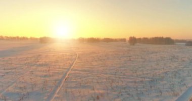 Arktik çayırlı soğuk kış manzarası, karla kaplı ağaçlar ve ufukta sabah güneşleri. Aşırı hava.