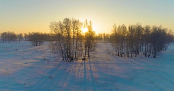 Veduta Aerea Drone Del Freddo Paesaggio Invernale Con Campo Artico — Video Stock