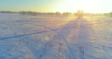 Arktik çayırlı soğuk kış manzarası, karla kaplı ağaçlar ve ufukta sabah güneşleri. Aşırı hava.