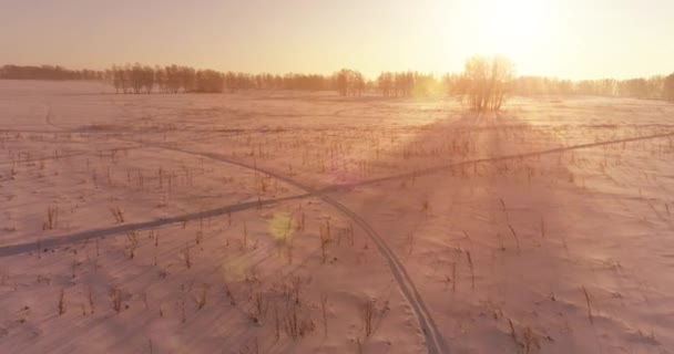 Aerial Drone Kilátás Hideg Téli Táj Sarkvidéki Területen Fák Borított — Stock videók