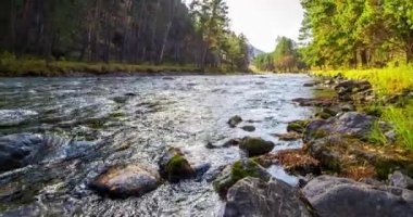 4K dağ nehri zaman dilimi yaz ya da sonbahar zamanı. Vahşi doğa, berrak su ve her zaman yeşil olan kırsal vadi. Güneş ışınları, küçük dere ve sarı otlar. Motorlu doli kaydırma hareketi