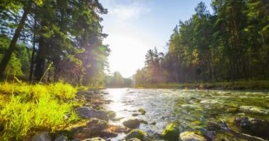 4K dağ nehri zaman dilimi yaz ya da sonbahar zamanı. Vahşi doğa, berrak su ve her zaman yeşil olan kırsal vadi. Güneş ışınları, küçük dere ve sarı otlar. Motorlu doli kaydırma hareketi
