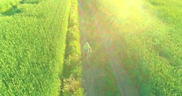 少年は 古い農村部の道路上のコムギの芝生のフィールドを介して自転車に乗るの空中ビュー 暖かい日差しと梁と夏の時間の牧草地 健康的な子供時代のコンセプト — ストック動画