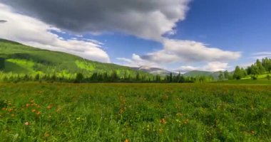 Yaz ya da sonbahar mevsiminde dağdaki çayır zaman atlaması. Vahşi doğa ve kırsal alan. Bulutların hareketi, yeşil çimenler ve güneş ışınları. Motorlu Panorama