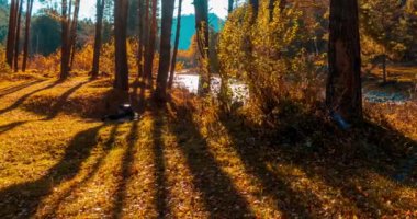 4k dağı, çam ağacı ormanı yaz ya da sonbahar zamanında zaman kavramına dönüşür. Vahşi doğa, berrak su ve kırsal vadi. Güneş ışınları, küçük dere, nehir ve sarı otlar. Motorlu doli kaydırma hareketi