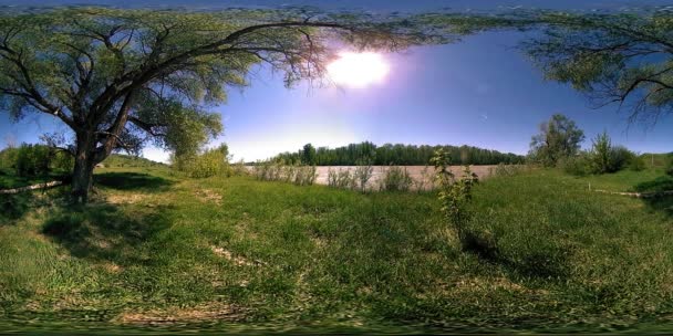 360 Realidade Virtual Rio Flui Sobre Rochas Nesta Bela Cena — Vídeo de Stock