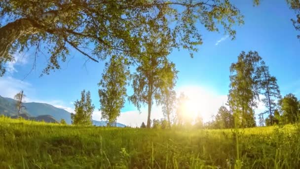 Mountain Meadow Time Lapse Summer Autumn Time Wild Nature Rural — Stock Video