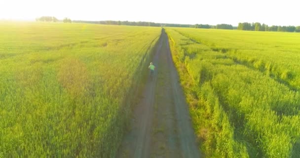 Flygfoto Ung Pojke Som Rider Cykel Genom Ett Vete Gräs — Stockvideo