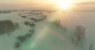 Soğuk kış kutup bölgesinin insansız hava görüntüsü, ufukta karla kaplı ağaçlar, buz nehri ve güneş ışınları. Aşırı düşük sıcaklık havası. Sibirya