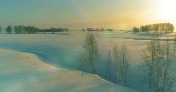 Vista Aérea Drones Del Frío Paisaje Invernal Del Campo Ártico — Vídeo de stock