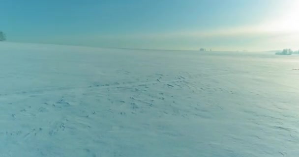 水平線上に霜雪 氷の川や太陽の光で覆われた木々 寒い冬の風景北極フィールドのドローンの空中ビュー 極端な低温の天候 — ストック動画