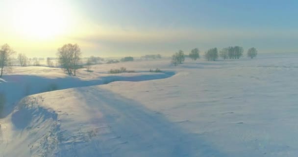 Drón Légi Kilátás Hideg Téli Táj Sarkvidéki Területen Fák Borított — Stock videók