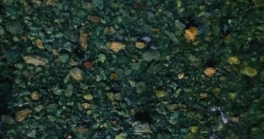 4K hava bakış açısı. Güneşli yaz sabahında, taze, hızlı dağ nehri üzerinde kayalıklarla alçak irtifa uçuşu. Yeşil çam ağaçları ve güneş ışınları. Saf soğuk su akıntısı.