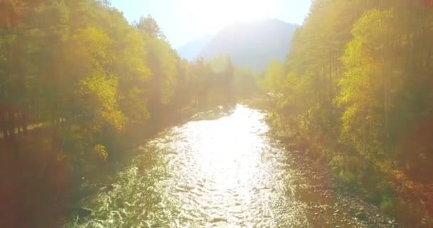 Point Vue Aérien Vol Basse Altitude Dessus Une Rivière Montagne — Video