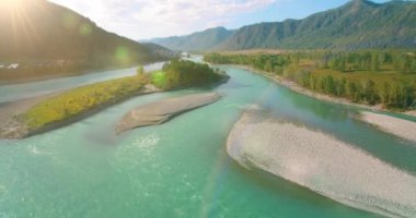 4K hava bakış açısı. Güneşli yaz sabahında, taze, hızlı dağ nehri üzerinde kayalıklarla alçak irtifa uçuşu. Yeşil çam ağaçları ve güneş ışınları. Saf soğuk su akıntısı.