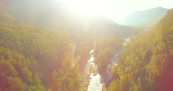 Point Vue Aérien Vol Basse Altitude Dessus Une Rivière Montagne — Video