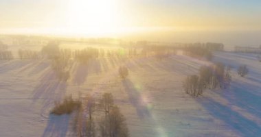 Arktik çayırlı soğuk kış manzarası, karla kaplı ağaçlar ve ufukta sabah güneşleri. Aşırı hava.